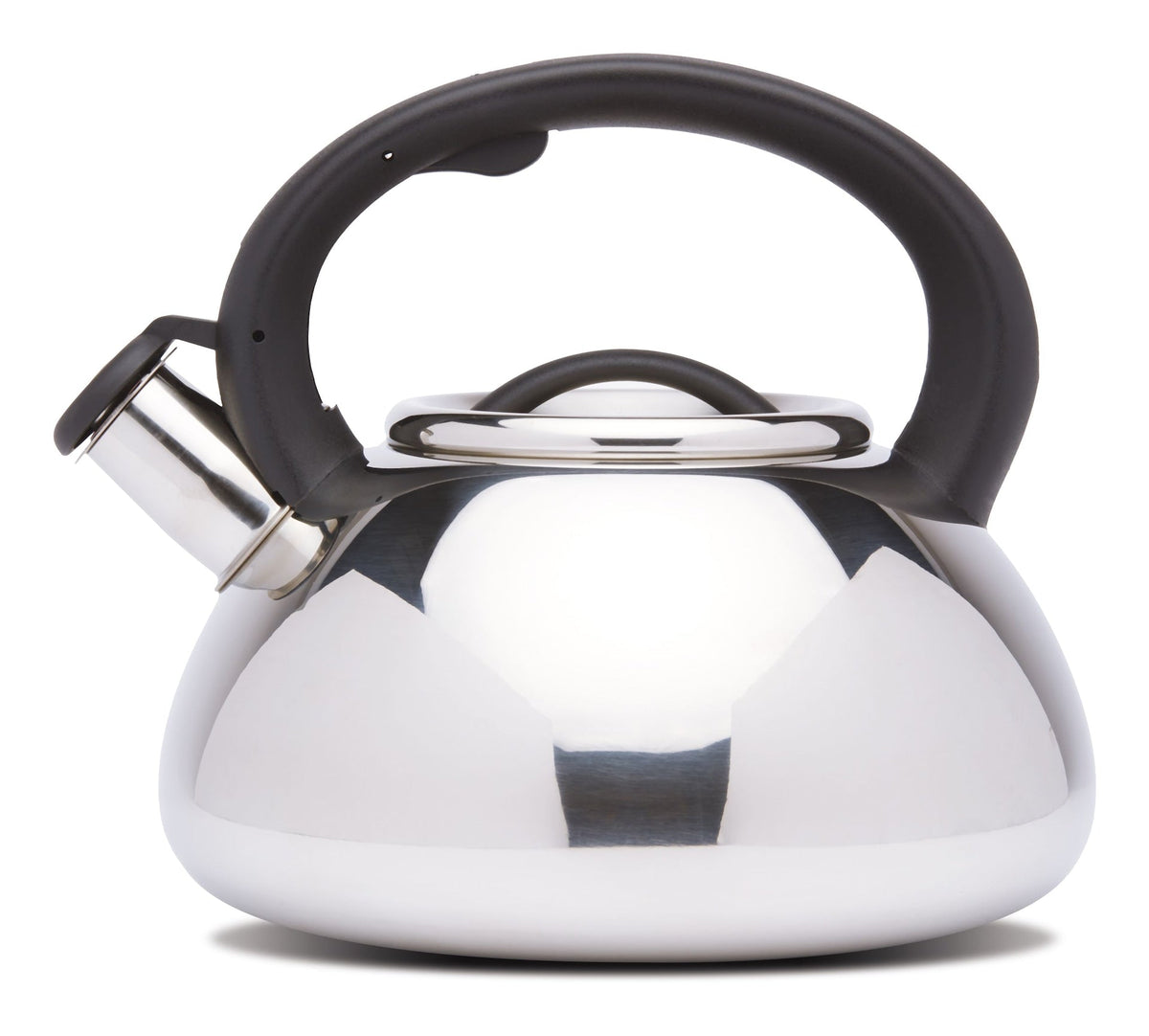 MASTER Chef Stainless Steel Stovetop Kettle, 2.5-L