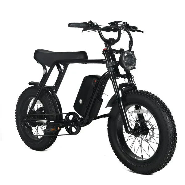 Electric Mountain Bike for Adults | 20 x 4.0 Fat Tires, 1000W Motor, 48V 20Ah Removable Battery, Max Speed 45MPH, Shi Mano 7-Speed for Off-Road Adventures O1