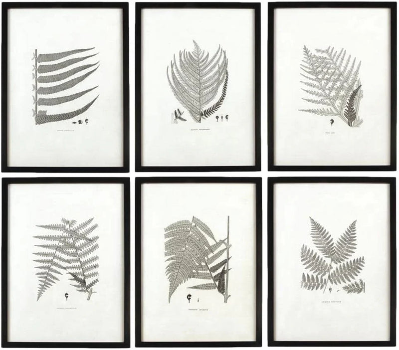 MY SWANKY HOME Modern Set of 6 Black White Fern Prints Botanical Framed Monochrome 29 in Q9
