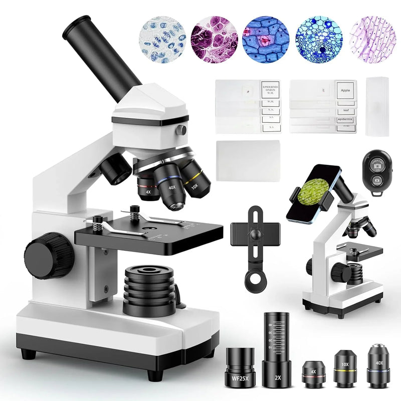 Compound Microscope for Adults & Kids - 100X-2000X High-Power Biological Microscope for Students, School Lab & Home Education, with Slides Set & Phone Adapter (White) V4