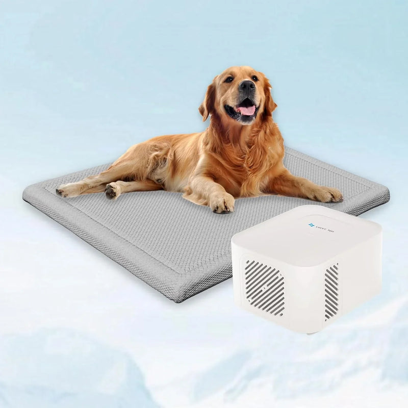 Pet Bed Cooling System, Consistent Warm and Cold Water Pad, No Electric Shock or Chemical Gel Needed, Machine Washable Bed, Ideal for Home and Crates (Cooling & Heating Green, 41" x 28") R9