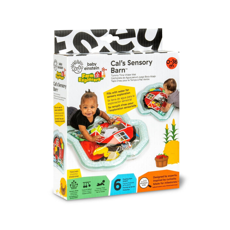 Baby Einstein Cal's Sensory Barn Tummy Time Water Mat T6