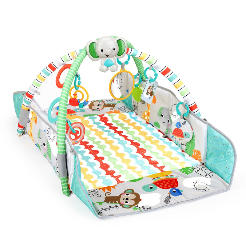 Bright Starts 5-in-1 Your Way Ball Play Gym B8