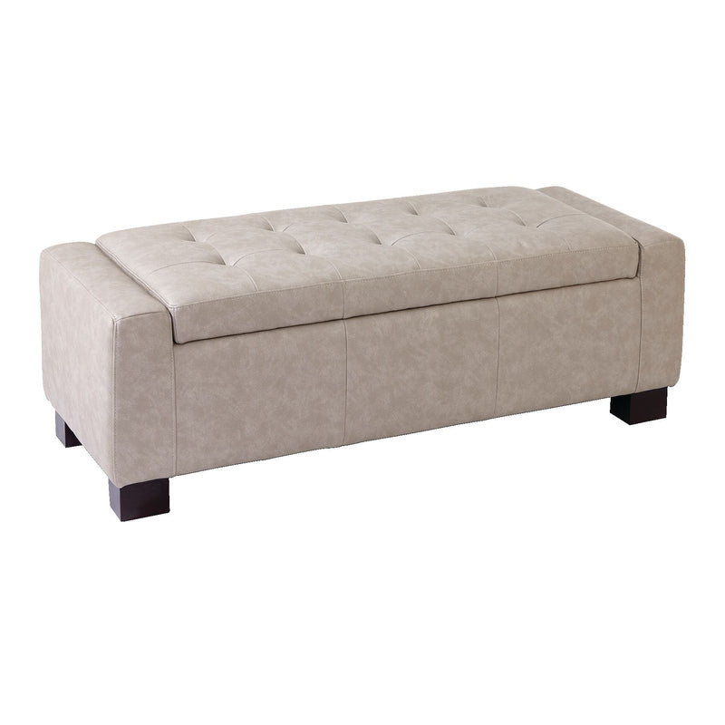 CANVAS Louisa Upholstered Hinge-Top Storage Ottoman/Bench With Padded Seat, Light Grey Y7