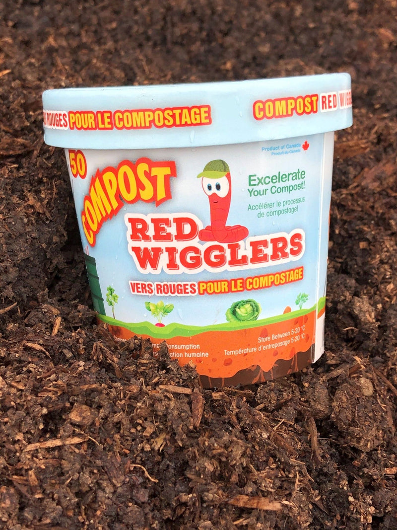 Compost Red Wiggler Live Composting Worms, 50 Count V7