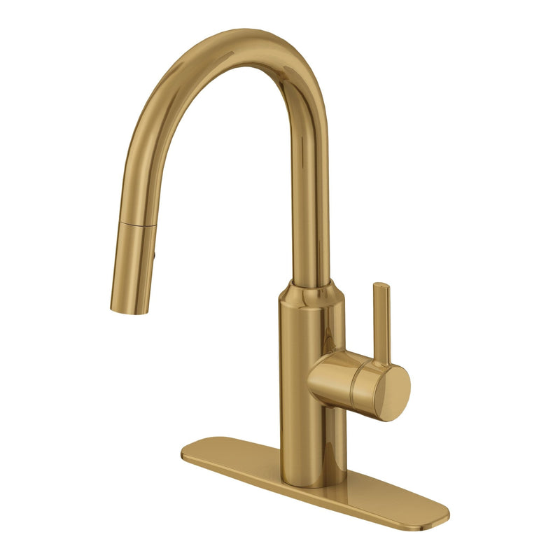 Danze Colby Single-Handle Pull-Down Kitchen Faucet, Brushed Bronze L4