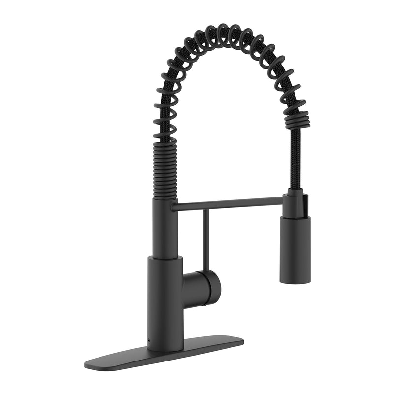 Danze Imi 1-Handle Pull-Down Commercial Style Kitchen Faucet I7