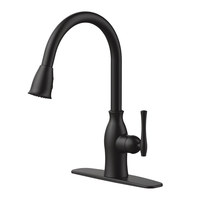 Danze Lisa 1-Handle Pull-Down Kitchen Faucet, Matte Black C8