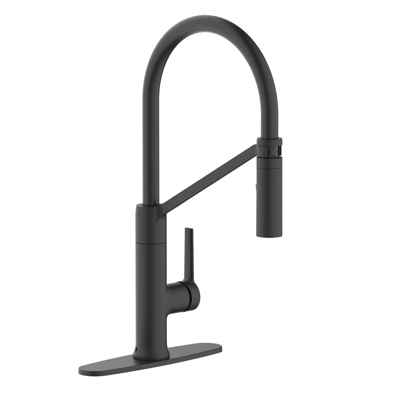 Danze Tana 1-Handle Pull-Down Kitchen Faucet Q6