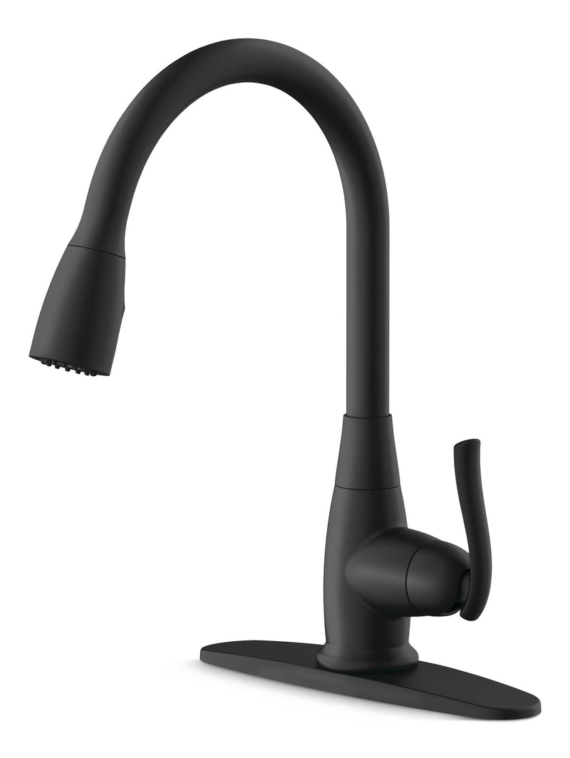 Danze Terrazo 1-Handle Pull Down Kitchen Faucet, Matte Black A4