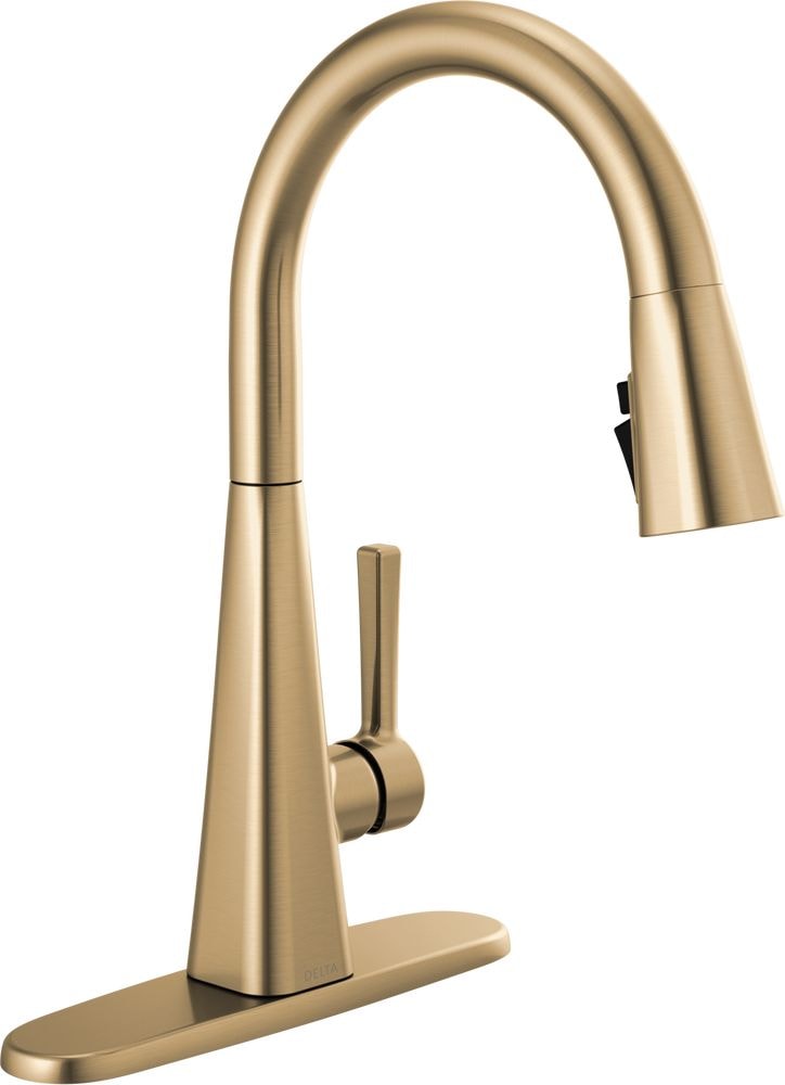 Delta Single Handle Kitchen Faucet D1