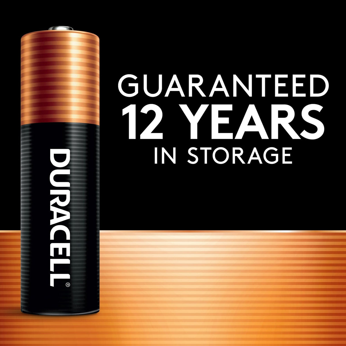 Duracell Coppertop AAA Batteries, Alkaline, 20-pk