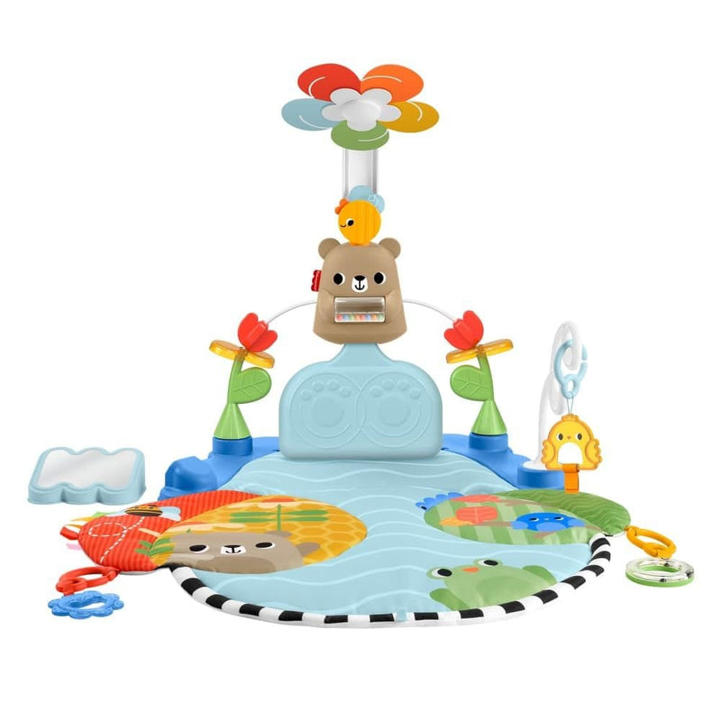 Fisher Price Kick & Sway Baby Activity Gym A2