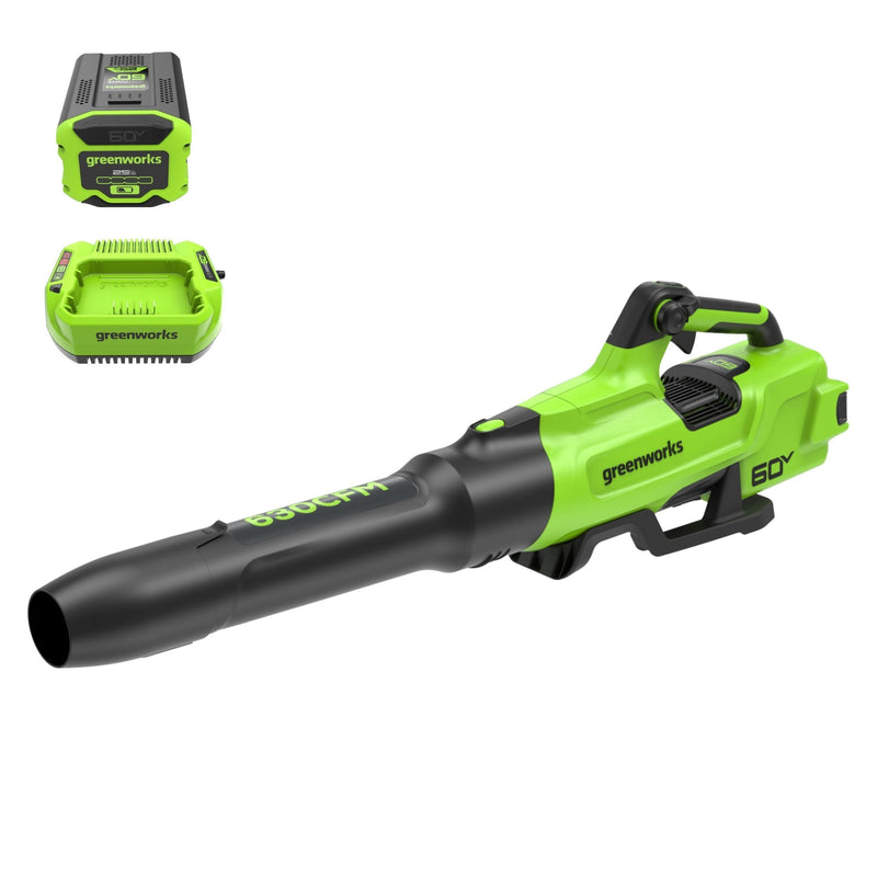 Greenworks 60V 630CFM 170MPH Leaf Blower 2.5Ah Battery 3A Charger Q5