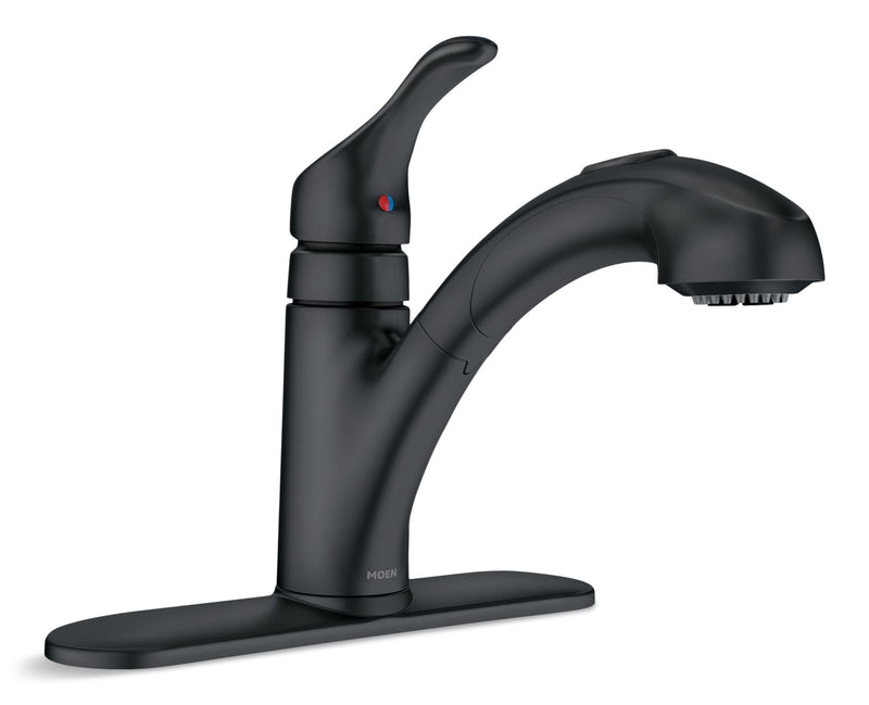 Moen Renzo Single-Handle Pull-Out Kitchen Faucet, Matte Black G1