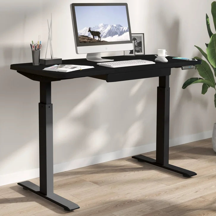 Motionwise 121.9 cm x 61 cm (48 in. x 24 in.) Height Adjustable Desk O7