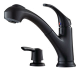 Pfister Shelton Matte Black Pull-Out Kitchen Faucet