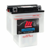PRO-SERIES Commercial Group 26 12-Volt Battery, 450 CCA