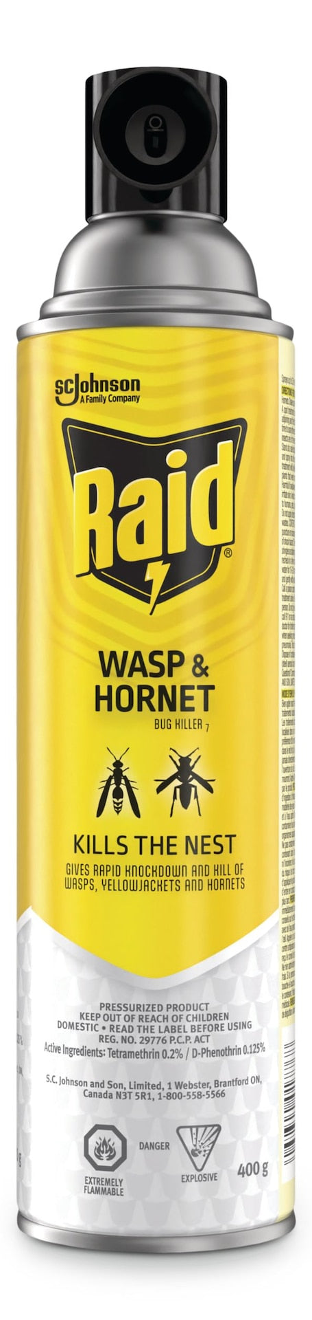 Raid Hornet & Wasp Spray, Aerosol Spray, 400 g C9