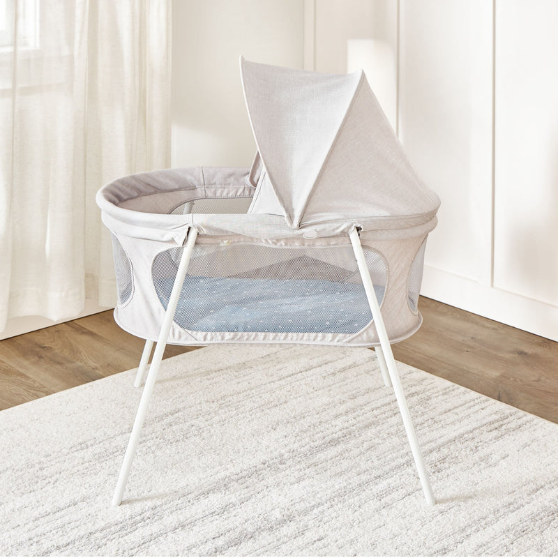 Regalo Baby Basics Infant Bassinet with Canopy, Grey N7