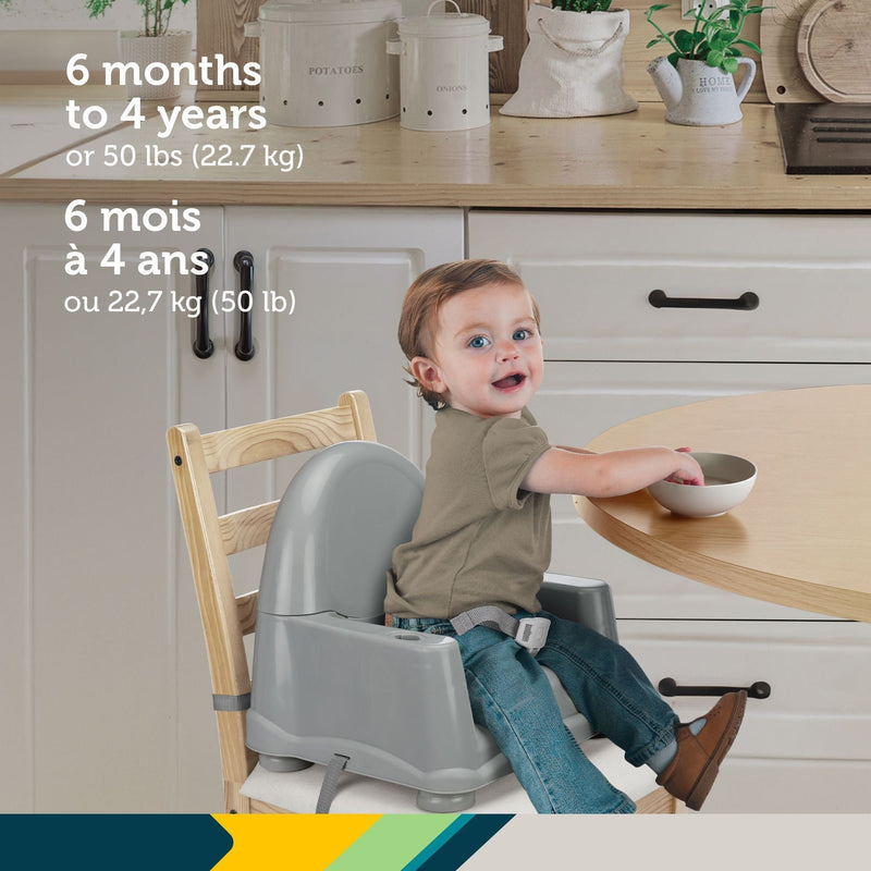 Safety 1st Easy Care Steel Fog Feeding Booster with Swing Tray O1