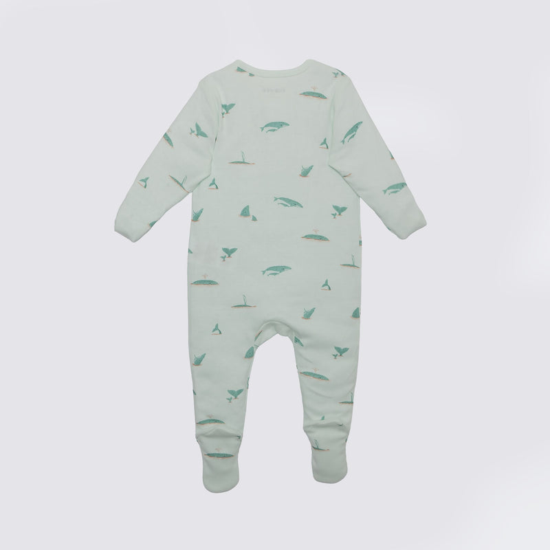 The Elk Baby Whale Print Premium Organic Cotton Play and Grow Zippy, Various Sizes H0
