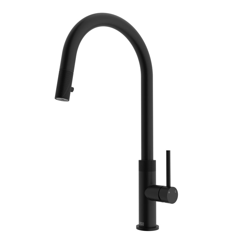 VIGO Bristol Kitchen Faucet F2