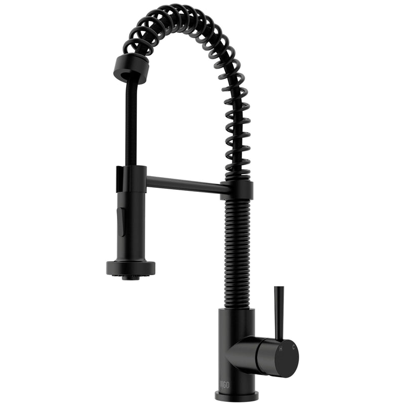 VIGO Edison Pull-Down Spray Kitchen Faucet, Matte Black J6