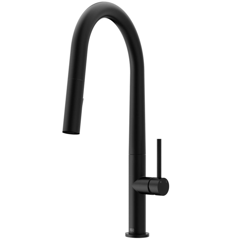 VIGO Greenwich Kitchen Faucet, Matte Black B8