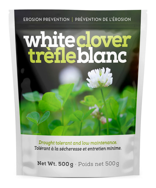 White Clover Erosion Control Grass Seed 500g Z2